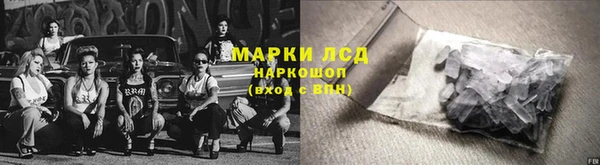 apvp Горняк