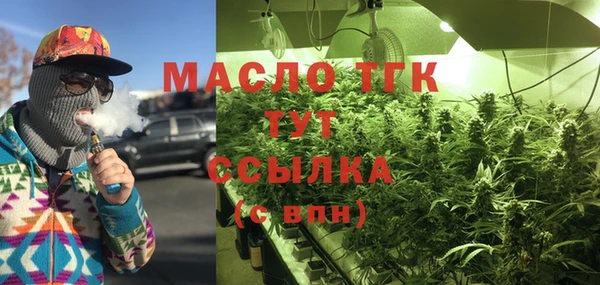 apvp Горняк